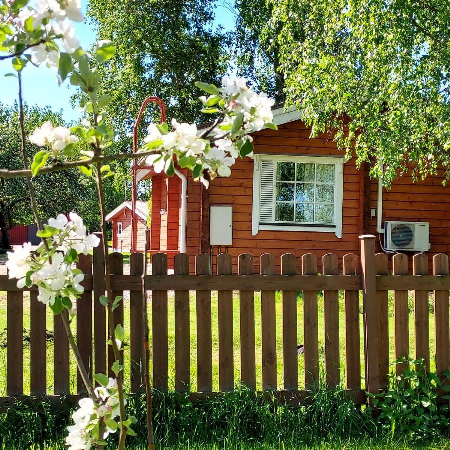 Silfvastas Holiday Homes Лапинъярви Экстерьер фото